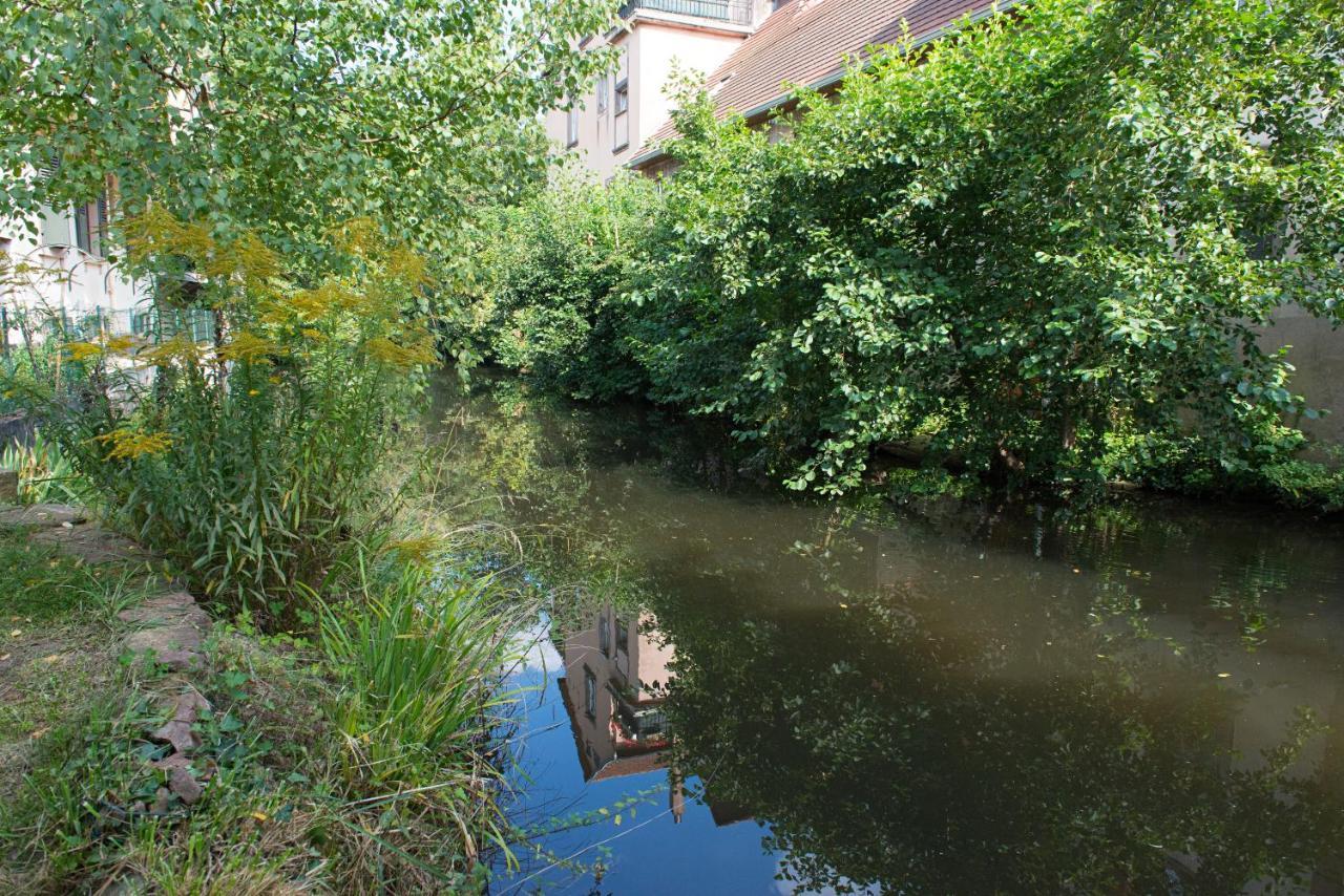 Meuble Le Coin Tranquille Lägenhet Saverne Exteriör bild