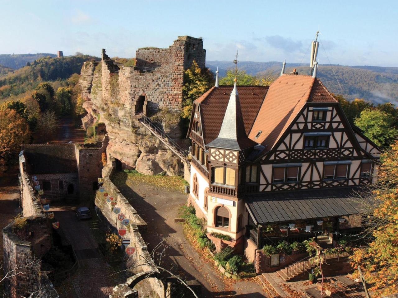 Meuble Le Coin Tranquille Lägenhet Saverne Exteriör bild